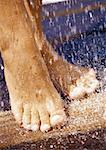 Feet under shower, close-up