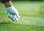 Golfer's gloved hand teeing up, close-up