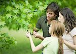 Junges Paar und Mädchen suchen mit dem Blatt am Baum zusammen