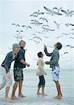 Group of young friends feeding seagulls on beach