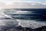 Surfeurs dans l'océan, Big Island, Hawaii, Etats-Unis