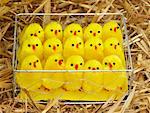 Toy Chicks in Cage