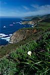 Côte de Big Sur, Californie, Etats-Unis