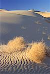 Kelso Dunes, Californie, USA