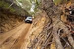 Middle Road, Moreton Island, Queensland, Australia