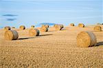 Hay bales in a field