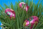 Chocolate Easter Eggs Hidden in Grass