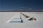 Salinas Grandes, Argentina