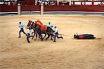 Plaza de Toros de Las Ventas, Madrid, Spain