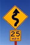 Speed Limit and Winding Road Sign