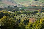 Montepulciano, Toscane, Italie