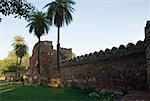 Palm trees lining the wall of a tomb, Humayun Tomb, New Delhi, India