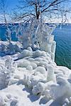 Amherst Island im Winter, Ontario, Kanada