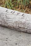 Love Carved into Log