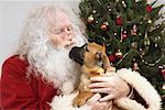 Santa Claus with Puppy