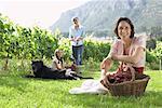 Family Collecting Grapes in Vineyard