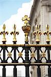 Railing of Buckingham Palace, London, England