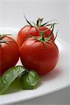 Tomates et basilic