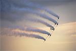 Snowbirds Performing at Air Show