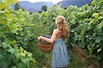 Girl in Vineyard