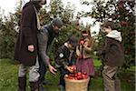 People Picking Apples at Orchard