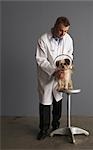 Vétérinaire avec chien