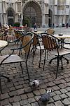 Pigeons in City Square, Antwerp, Belgium
