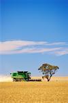 Harvester in Field, Victoria, Australia