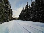 Schneebedeckte Straße, Banff, Alberta, Kanada