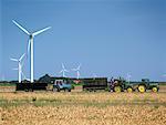 Wind Farm, Flevoland, Netherlands