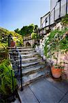 Rose Hall Steps, Montego Bay, Jamaica