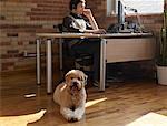 Portrait von Hund und Mensch arbeiten