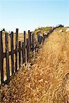 Fence, Mendocino Coast, California, USA