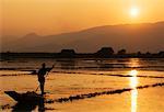 Fisherman, Inle Lake, Myanmar