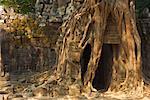 Ta Som Temple, Siem Reap, Cambodia