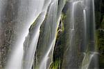 Proxy Falls, Three Sisters Wilderness, Willamette National Forest, Oregon, Etats-Unis