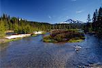 Ruisseau dans la forêt nationale de Deschutes avec sœur du Sud en arrière-plan, Oregon, Etats-Unis