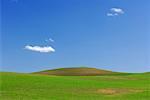 Felder in der Nähe von Colfax, Palouse Region, Whitman County, Washington, USA