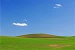 Champs près de Colfax, région Palouse, Whitman County, Washington, Etats-Unis