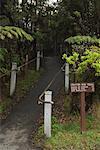 Crater Rim Trail, Hawaii Volcanoes National Park, Hawaii, USA