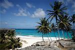 Beach in Barbados