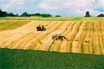 Vue d'angle élevé des tracteurs dans un champ de blé, comté de Funen, Danemark