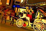 Horsedrawn carriage in front of a building, New York City, New York State, USA