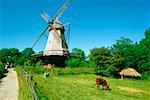Flachwinkelansicht einer Windmühle auf eine Landschaft, Kopenhagen, Dänemark