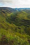 Waimea River at Waimea Canyon, Kauai, Hawaii