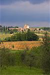 Monaciano, Toscane, Italie