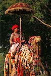 Mid adult man riding a decorated camel, Jaipur, Rajasthan, India