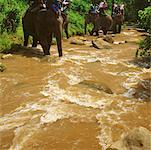 Tourisme assis sur les éléphants, Maesa Elephant Camp, Chiang Mai, Thaïlande