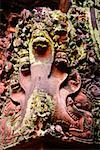 Serpents gravés sur un mur, Banteay Srei, Angkor, Siem Reap, Cambodge