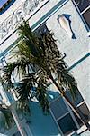 Palmier sur le bord de la route, Miami, Floride, USA